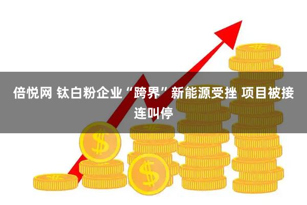 倍悦网 钛白粉企业“跨界”新能源受挫 项目被接连叫停