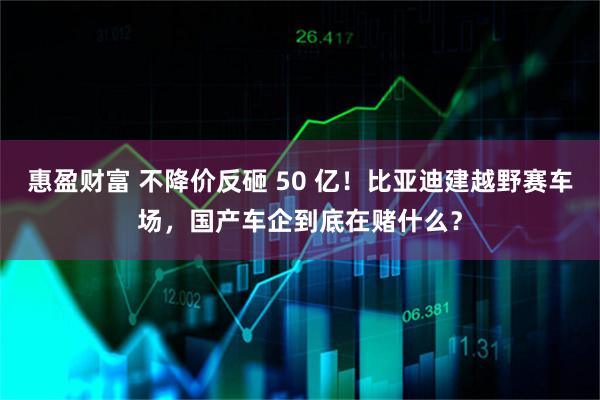惠盈财富 不降价反砸 50 亿！比亚迪建越野赛车场，国产车企到底在赌什么？
