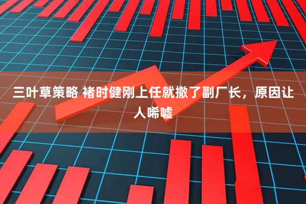 三叶草策略 褚时健刚上任就撤了副厂长，原因让人唏嘘