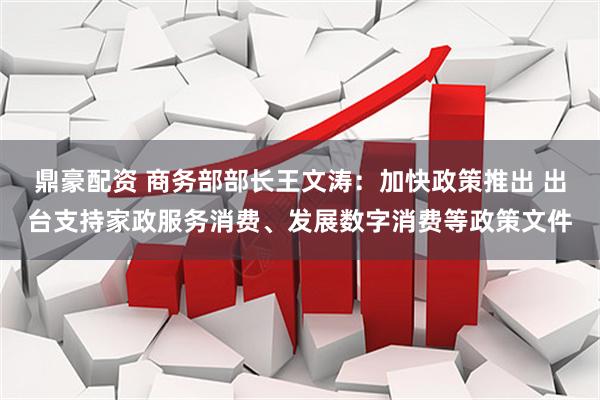 鼎豪配资 商务部部长王文涛：加快政策推出 出台支持家政服务消费、发展数字消费等政策文件