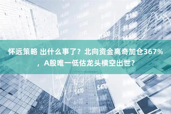怀远策略 出什么事了？北向资金离奇加仓367%，A股唯一低估龙头横空出世？